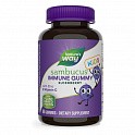 Sambucus Kids Immune Support – 60 gummies (Черная бузина для детей) - 60 - Molodo
