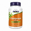 Cordyceps 750 mg - 90 vcaps (Кордіцепс) - 60 - Molodo