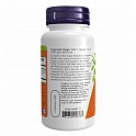 Turmeric Curcumin Extract - 120 veg caps (Куркума) - 63 - Molodo