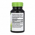 L-Theanine - 60 veg caps (L-теанін) - 62 - Molodo