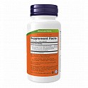 Turmeric Curcumin Extract - 120 veg caps (Куркума) - 62 - Molodo
