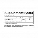 CranRich 500mg - 90 caps (Концентрат клюквы усиленного действия) - 60 - Molodo