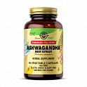 SFP Ashwagandha Root Extract - 60 vcaps (Solgar Экстракт и порошок корня ашваганды) - 62 - Molodo