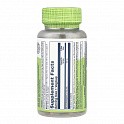 Uva Ursi 460mg - 100 veg caps (Листя мучниці) - 60 - Molodo