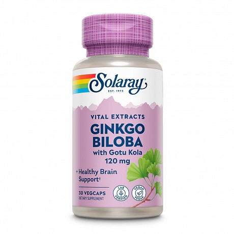 Ginkgo Biloba Extract One 120mg - 30 veg caps (Гінкго білоба) - 63 - Molodo