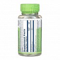 Garlic Parsley 530mg - 100 vcaps (Часник та петрушка Solaray) - 62 - Molodo