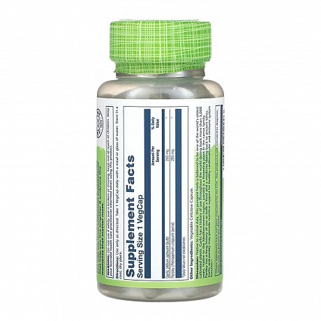 Garlic Parsley 530mg - 100 vcaps (Часник та петрушка Solaray) - 66 - Molodo