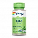 Kelp Seaweed 550mg - 100 vcaps (Келп Бурі водорості Solaray) - 61 - Molodo