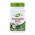 Astragalus Root - 100 veg caps (Коріння астрагалу) - 59 - Molodo