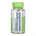 Gotu Kola Aerial 450mg - 100 vcaps (Готу кола Solaray) - 62 - Molodo