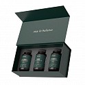 MIND SHI Mushroom Premium Box (Набір грибів) - 62 - Molodo