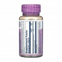 Bilberry Berry Extract 42mg - 60 vcaps (Чорника 42мг Solaray) - 60 - Molodo