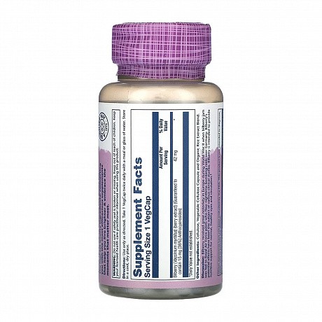 Bilberry Berry Extract 42mg - 60 vcaps (Чорника 42мг Solaray) - 64 - Molodo