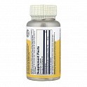 Akkermansia Postbiotic - 30 veg caps (Постбіотик) - 62 - Molodo