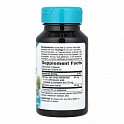 Artichoke Supports Digestion - 60 vcaps (Артишок) - 60 - Molodo