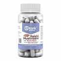 Reishi Mushroom Extract 600 mg - 60 caps (Stark Pharm стандартизированный экстракт гриба рейши) - 62 - Molodo