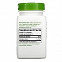 Astragalus Root - 100 veg caps (Коріння астрагалу) - 62 - Molodo