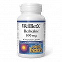 WellBetX Berberine 500mg - 60 veg caps (Берберин) - 59 - Molodo