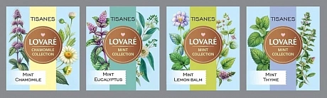 Чай Lovare Tisanes Mint Collection 4 вида по 8 пакетиков - 64 - Molodo