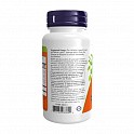 Sambucus Zinc-C - 60 lozenges (Бузина Цинк-С ) - 61 - Molodo