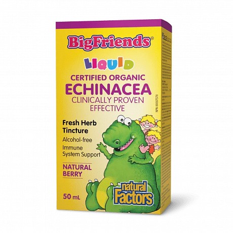 BigFriends Echinacea Alcohol-Free Fresh Herb Tincture for Kids - 50 ml (Эхинацея для детей) - 63 - Molodo