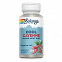 Cool Cayenne Pepper 40,000 HU 600mg - 90 veg caps (Кайенский перец) - 60 - Molodo
