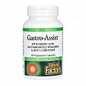 GastroAssist – 60 veg caps (Комплекс для желудочно-кишечного тракта) - 59 - Molodo