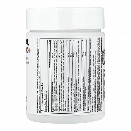 Liposomal Turmeric+ - 90 veg caps ( Ліпосомальна куркума ) - 66 - Molodo