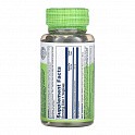 Devil's Claw Root 525mg - 100 veg caps (Корінь Кігтя диявола) - 60 - Molodo