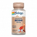 Reishi Mushroom 600mg - 100 veg caps (Гриб рейші) - 60 - Molodo
