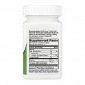 DGL (Sugar Free) - 100 tabs - 61 - Molodo