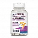Dino-Dophilus™ Kids Probiotic - 60 chewables Black Cherry (Пробіотик  для дітей зі смаком вишні) - 62 - Molodo
