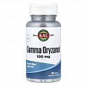 Gamma Oryzanol 100mg - 100 tabs (Гамма оризанол, 100 мг) - 60 - Molodo