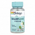SharpMind Nootropics Focus – 30 veg caps (Ноотропный комплекс) - 62 - Molodo