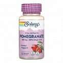 Pomegranate 200mg - 60 veg caps (Vital Extracts, гранат) - 60 - Molodo