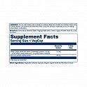 Ginkgo Biloba Extract One 120mg - 30 veg caps (Гінкго білоба) - 60 - Molodo
