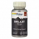 Shilajit 500mg - 60 veg caps (Шилажит) - 60 - Molodo
