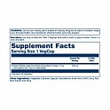 Super Rhodiola Root Extract 500mg - 60 veg caps (Радиолы экстракт) - 60 - Molodo