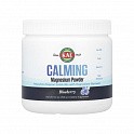 CALMING Magnesium Powder - 256g Blueberry (Магній) - 60 - Molodo