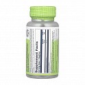 Schizandra Berry 580mg - 100 veg caps (Ягоди лимонника) - 60 - Molodo