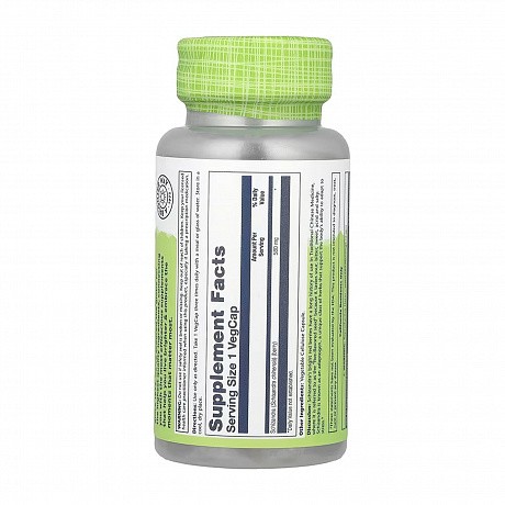 Schizandra Berry 580mg - 100 veg caps (Ягоди лимонника) - 64 - Molodo