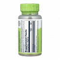 Rose Hips Fruit 550mg - 100 veg caps (Плоди шипшини) - 60 - Molodo