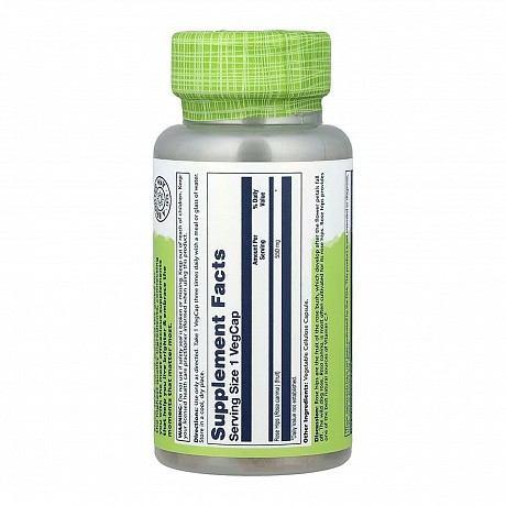 Rose Hips Fruit 550mg - 100 veg caps (Плоди шипшини) - 64 - Molodo