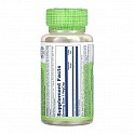 Astragalus Root 400mg - 100 vcaps (Корінь Астрагалу Solaray) - 62 - Molodo
