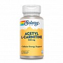 Acetyl L-Carnitine 500mg - 30 veg caps (ацетил-L-карнітин) - 60 - Molodo