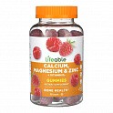 Calcium Magnesium & Zinc + Vitamin D Adult - 90 gummies (Кальцій, магній, цинк + вітамін D3) - 60 - Molodo