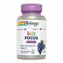 Focus for Children - 60 chewables (Витаминный комплекс для детей) - 60 - Molodo