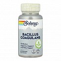Bacillus Coagulans 5 Billion CFU - 60 vcaps (Пробіотик, Solaray) - 61 - Molodo