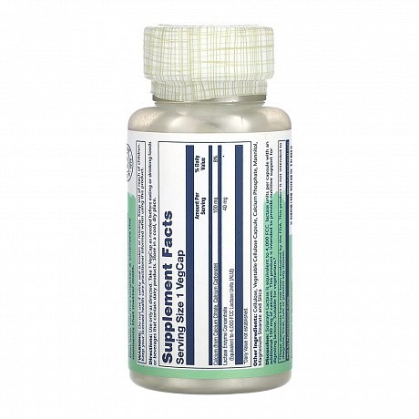 Lactase 40mg - 100 veg caps (Лактаза) - 64 - Molodo