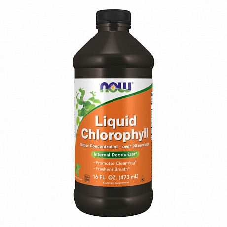 Chlorophyll Liquid Mint - 16 oz (Хлорофилл жидкий) - 65 - Molodo